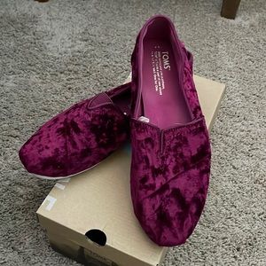 Toms Classic Black Cherry Velvet